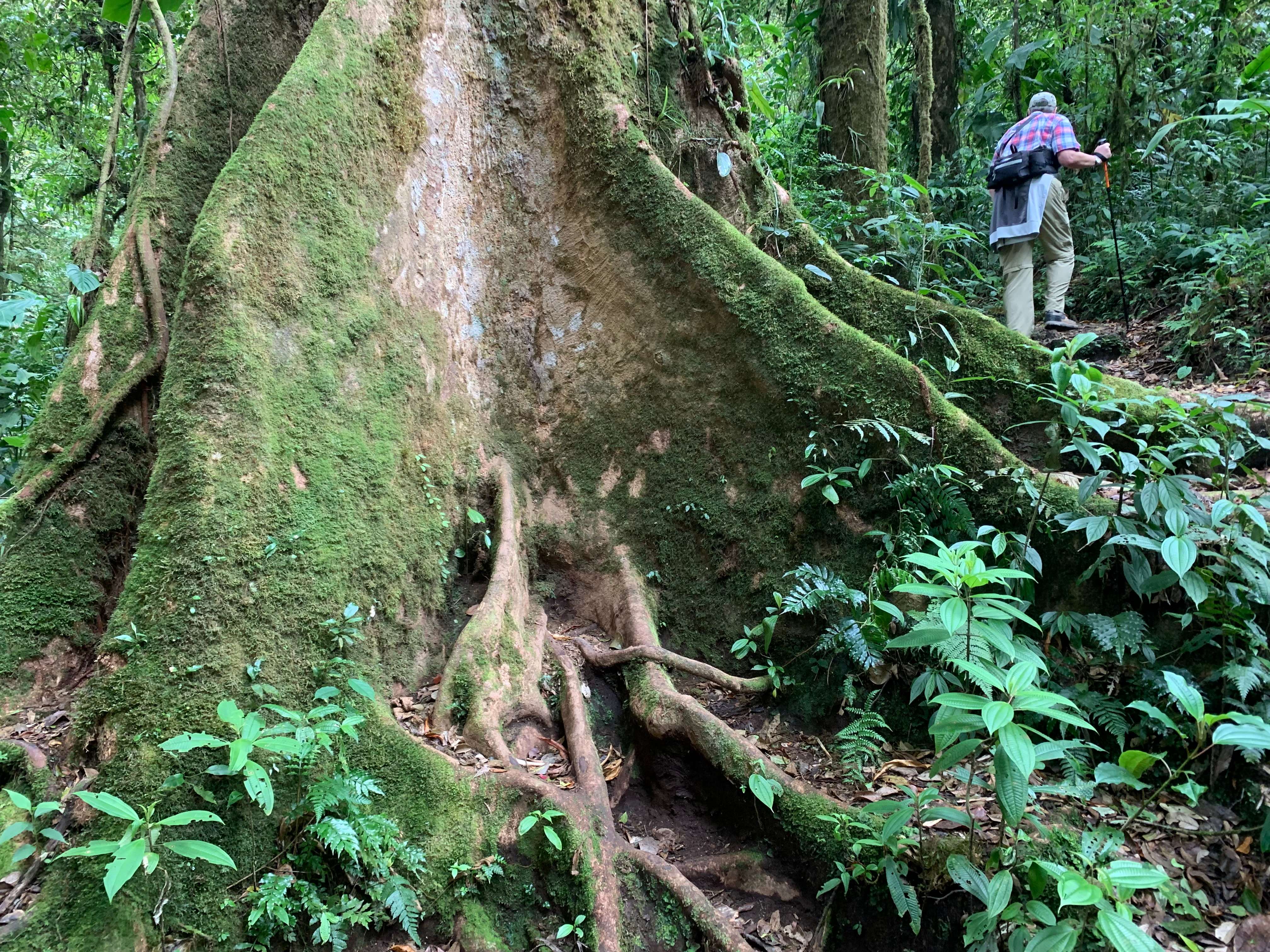 Costa Rica